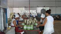 Continúan actividades por  el día del trabajador de la industria alimentaria en Villa Clara.